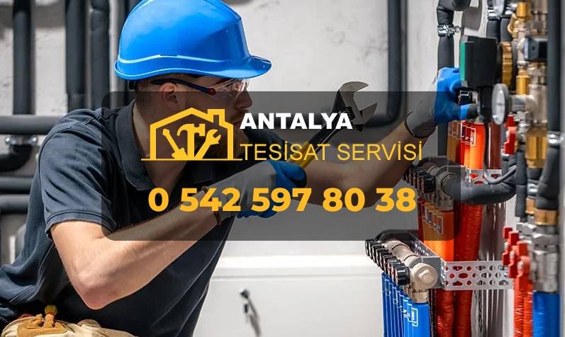 Hemen Ara: 0 542 597 80 38